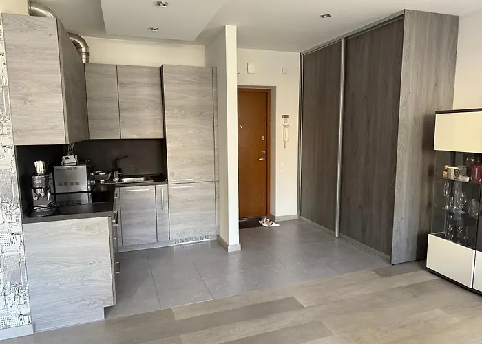 Erdvus Butas Palangos Centre Παλάγκα